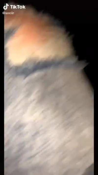 Not sure what I expected