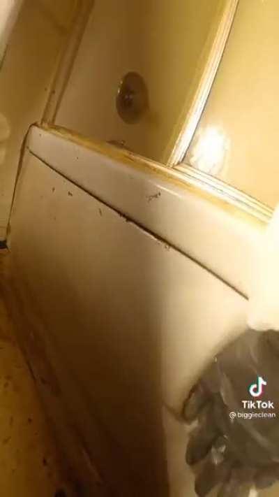 Removing years of smoker’s buildup with steam and chemicals.