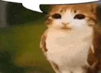 Is it just me or do I hear eggman say 