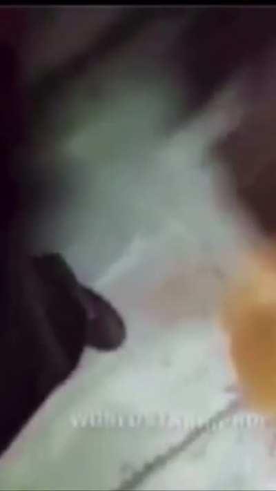 Kellogg worker pisses in cereal for 2 years before getting caught