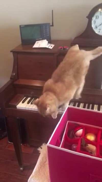 Чистый хоррор