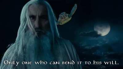 So you have chosen sea turtles.