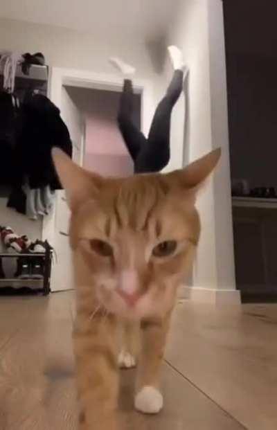 Let's show you an exercise