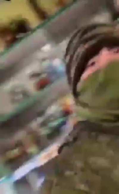 Video of Russian military looting a grocery store