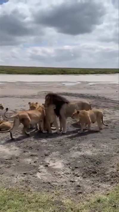 Tanzania be like. Family matters