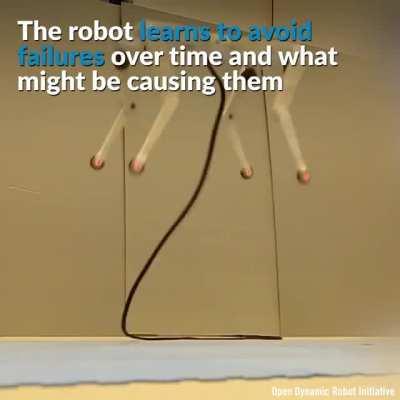 A quadruped jumping is an impressive robotic feat. However, learning to jump is a very complex process.