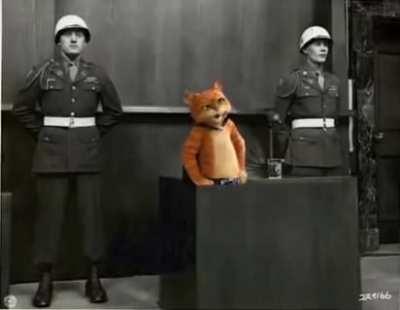 Bro thinks he himmler