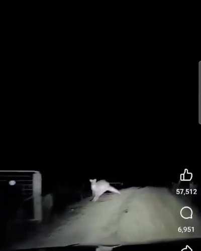 To drive at night
