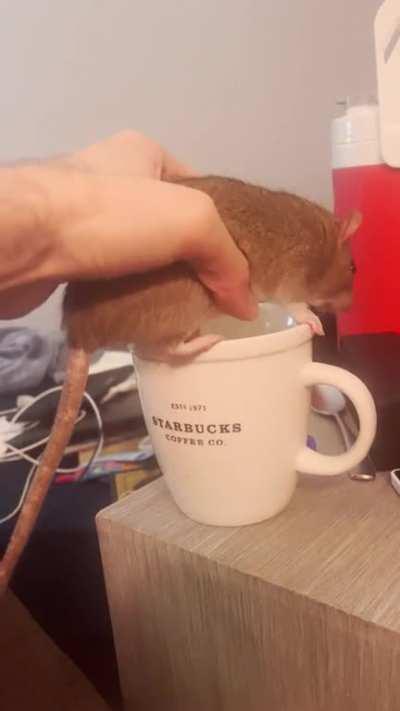 Poppy decided to help herself