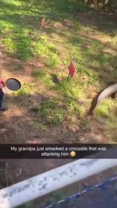 Chad protects his family and house from a crocodile