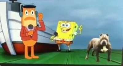 Spongebingbong
