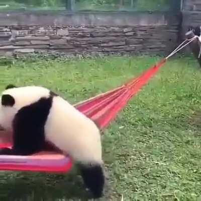 To be fair, I even have a hard time with a hammock