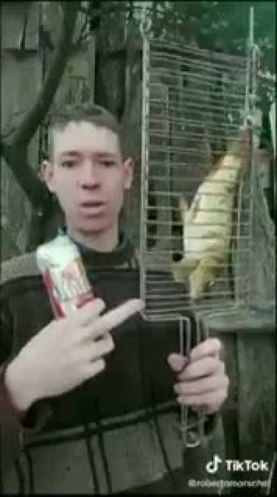 Raposito quando for para Joinville