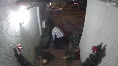 A random stranger beats and kidnaps a woman