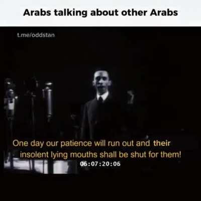 🇪🇬/🇱🇧/🇹🇷/🇸🇦 talking about Syrians