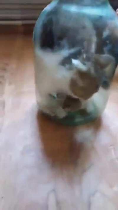 HOW COULD THIS BE POSSIBLE?