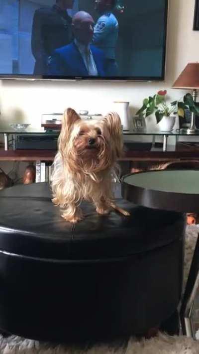 I think he’s trying to tell me something