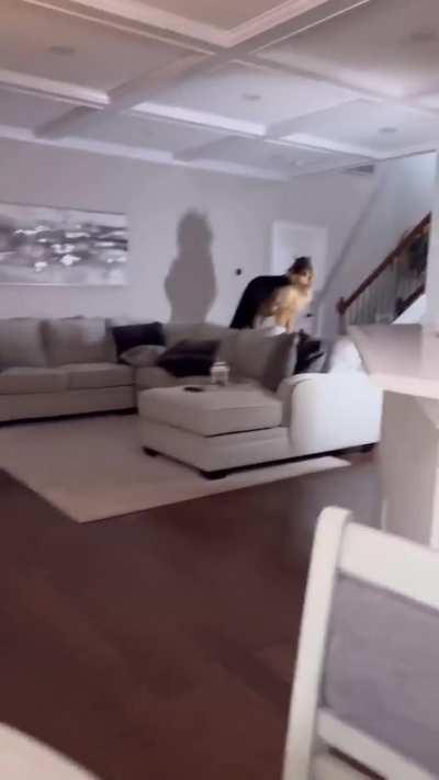 Always there when you need him