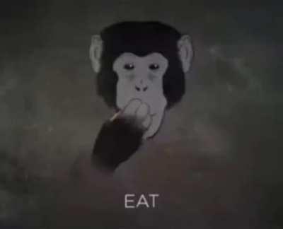 Monky