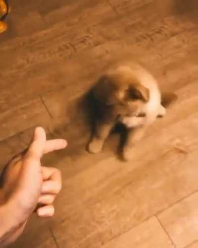 He is such good actor