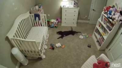 She almost imperceptibly made her way into the forbidden room.