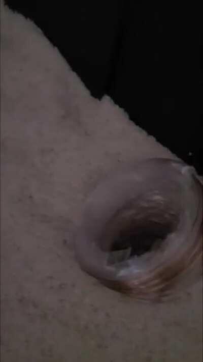 Their 1st dig box and my first post here. I love these two.