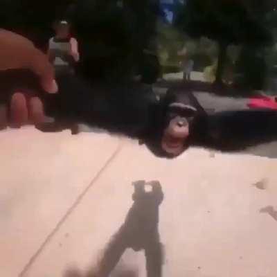 Mi amigo peruano 😍