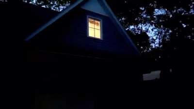 True pain (longer version)