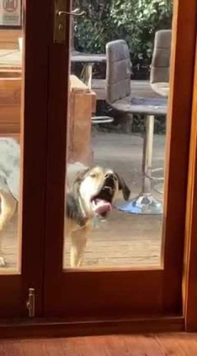 My friend sent me this today.