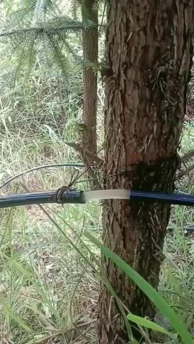 Can someone explain this.