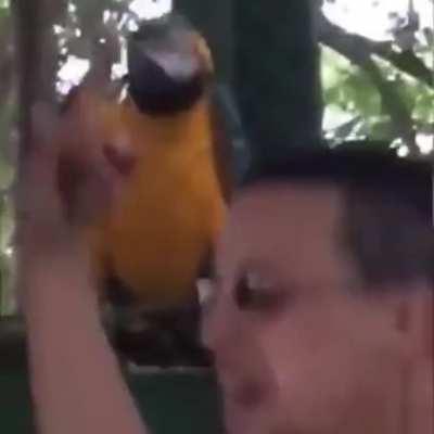 Ahhh I was there, the days before covid. The good old days. Fuck china