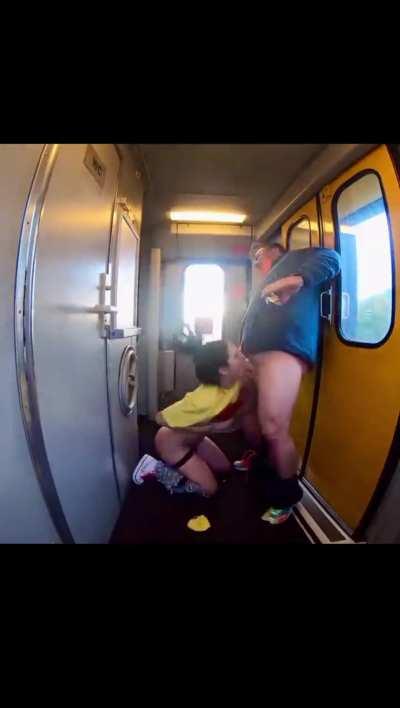 Quickie on the train