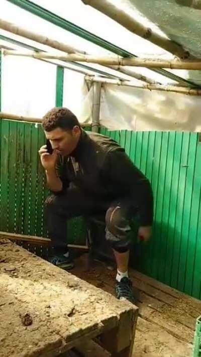 s-or cam dus sotu' pa pula prins de nevasta