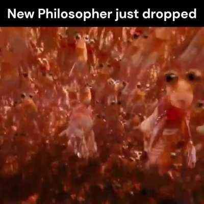 New Philosopher just dropped