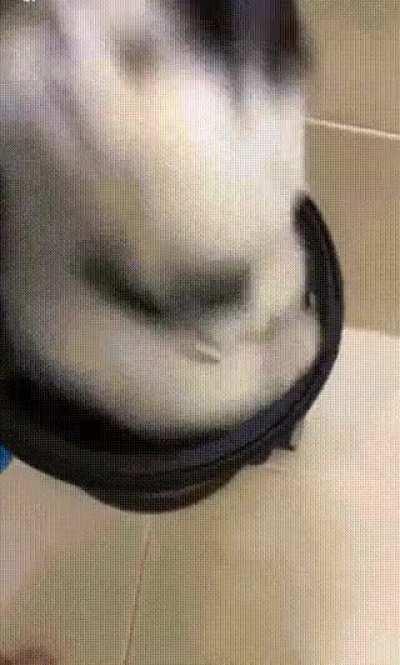 The kitten is hiding, and don't bother him.