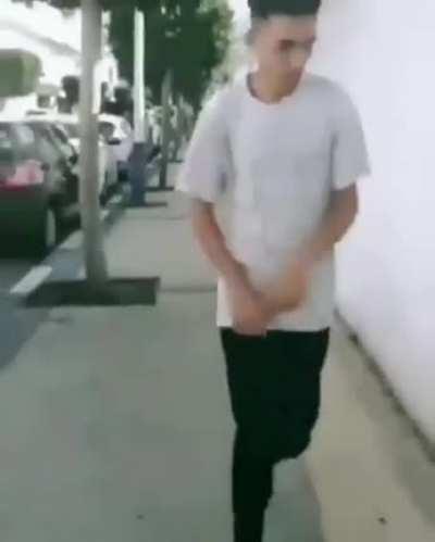 Petting a random dog