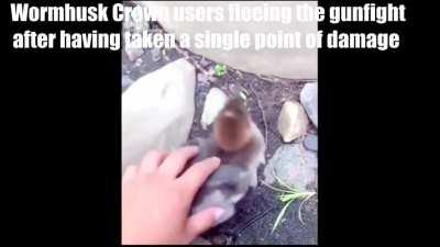 making fun of stuff in destiny (part 1??? might make another)