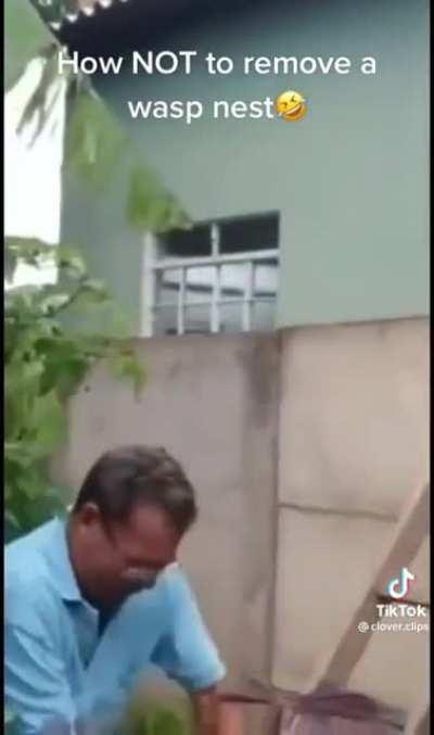 Bagging a wasp nest and swinging it around