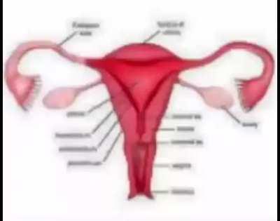 Can anyone identify this Playboi Carti song? (Please disregard the video)