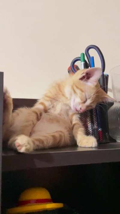 Bro sleeps like he has a 9-5 job