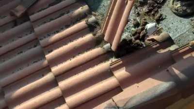 Under the roof tiles