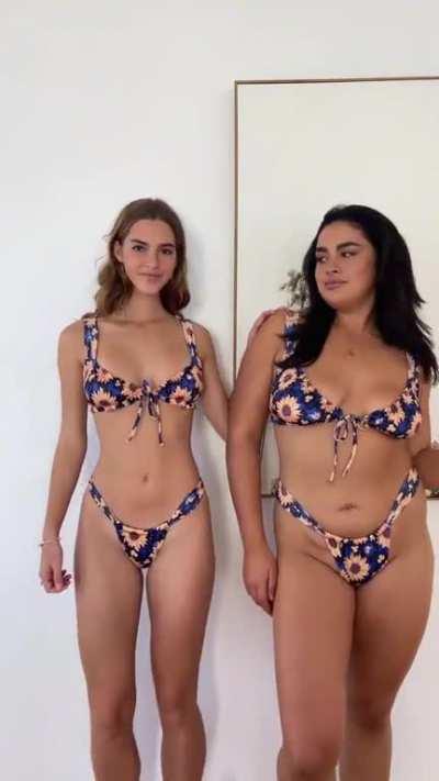 Modeling with a friend 