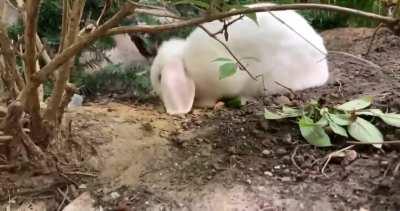 Don't worry mom, I will find the buried treasure!