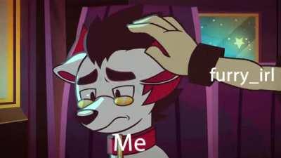 furry🤗irl
