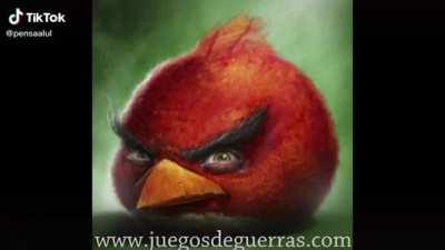 Por eso el admin la chupa