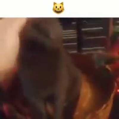 Average Us household