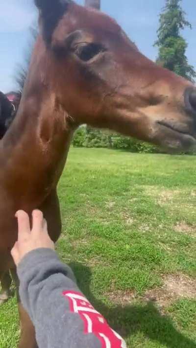 5 days old and already running circles around her mama