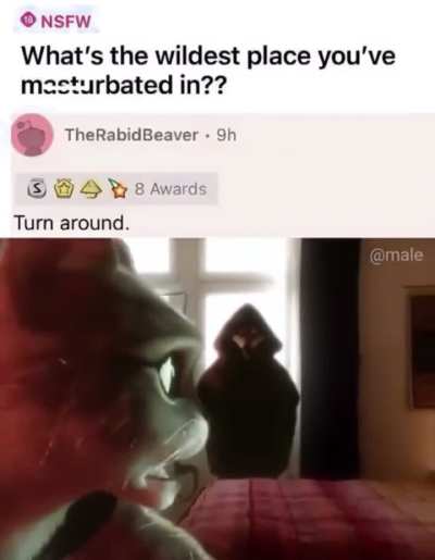 So which place is it?