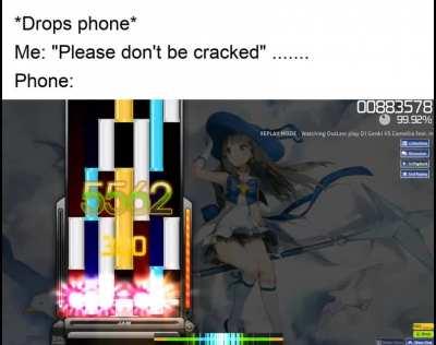 Yeah that phone's done for