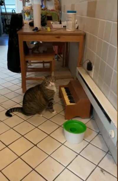 impressive piano lessons in exchange for dinner